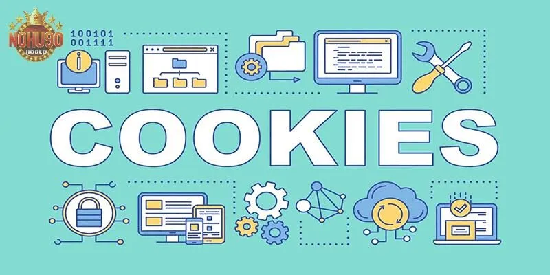 Chính sách Cookie Nohu90 và những điều cần biết