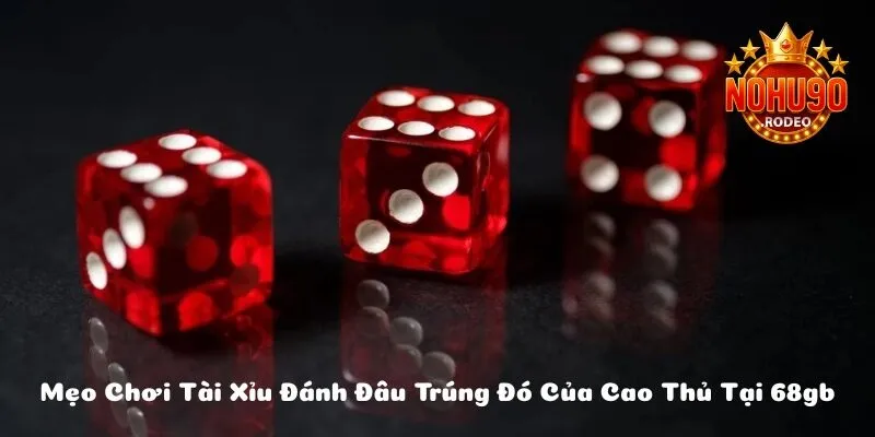 meo choi tai xiu avt