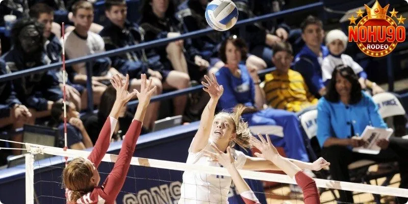 Bóng chuyền không thể bỏ lỡ